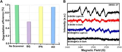 Photocatalytic degradation of tetracycline antibiotic over a flower-like S-doped BiOBr: Performance, mechanism insight and toxicity assessment